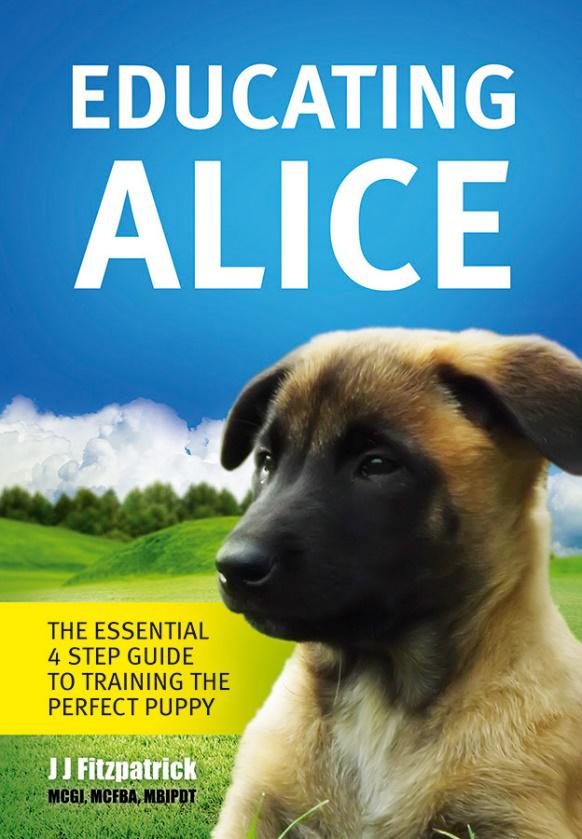 Alice's companion dog store training